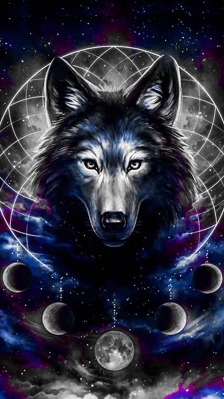 720x1280 Galaxy Wolf Wallpaper, HD Galaxy Wolf Background