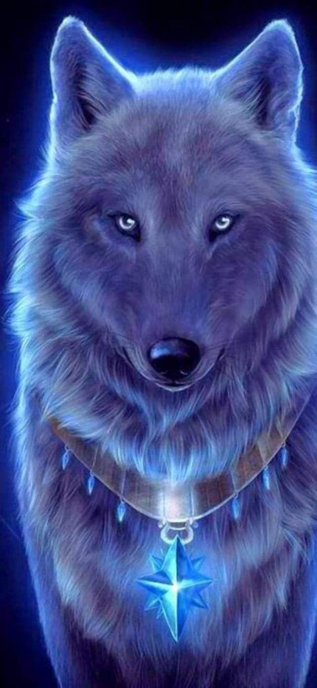 640x1387 Photo. Wolf spirit animal, Wolf art fantasy, Cute wolf drawings