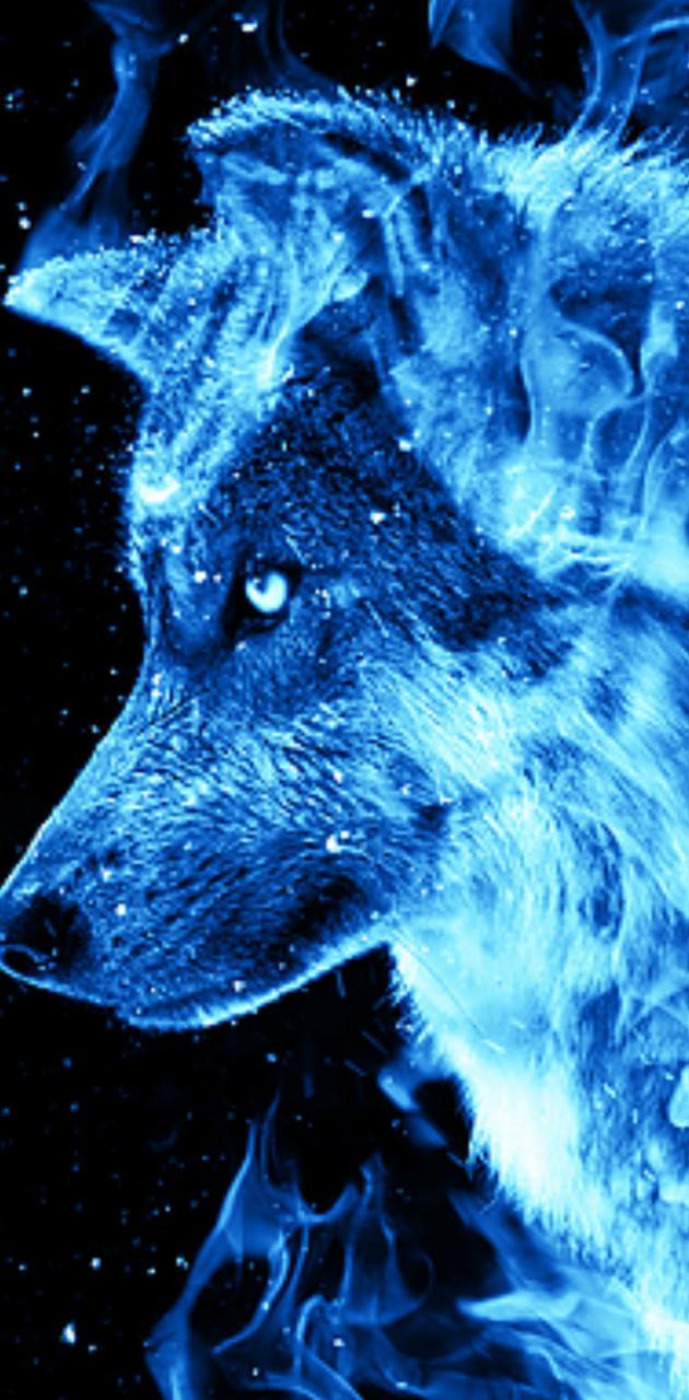 630x1280 Wolf wallpaper
