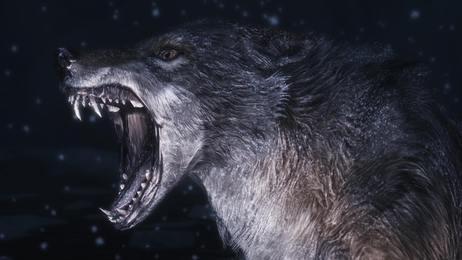 1920x1080 Wolf Computer Wallpaper, Desktop Background Wolf Wallpaper HD