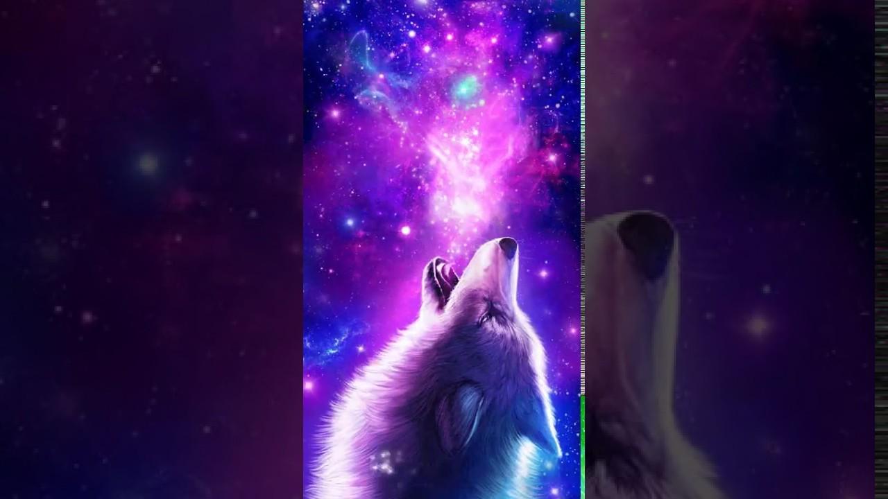 1280x720 Galaxy Cool Wolf Background