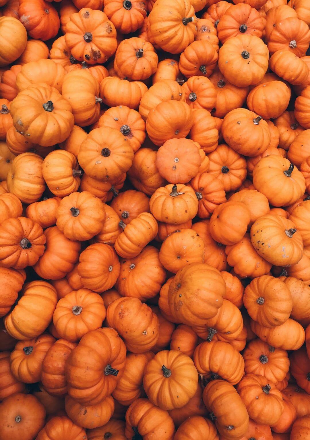 1080x1533 Aesthetic Pumpkin, iPhone, Desktop HD Background / Wallpaper (1080p, 4k) HD Wallpaper (Desktop Background / Android / iPhone) (1080p, 4k) (1080x1533) (2021)