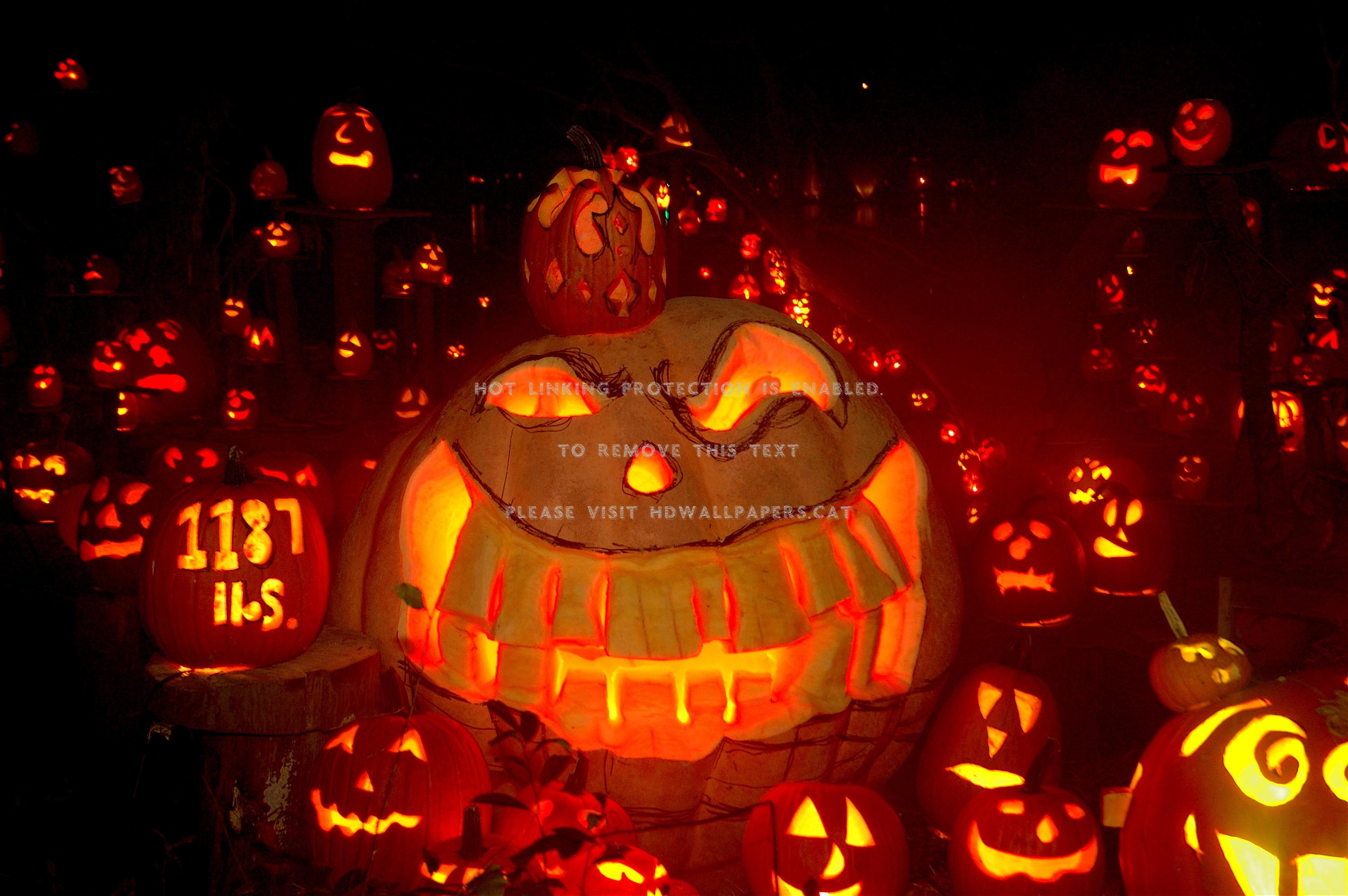 3008x2000 scary pumpkins halloween creepy abstract 3D