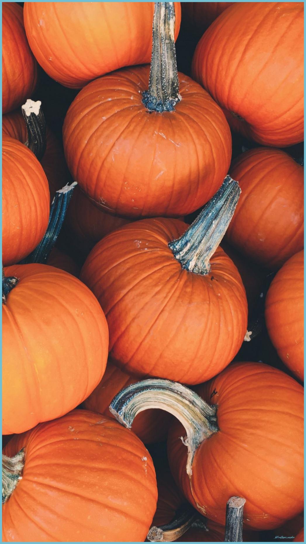 1047x1862 Wallpaper Pumpkin, Food, Thanksgiving Day, Thanksgiving Wallpaper Pumpkins