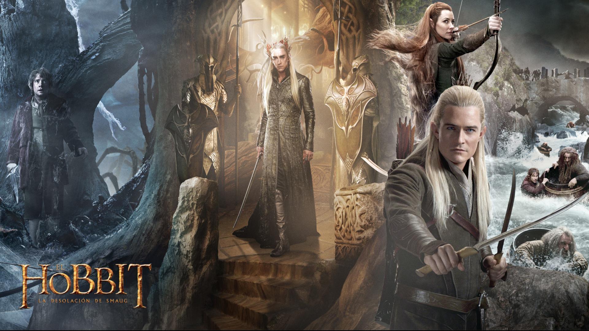 1920x1080 The Hobbit the Desolation of Smaug wallpaper 13