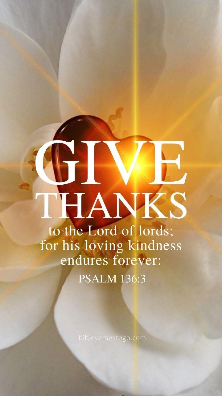 720x1280 Christian Wallpaper 000 Free Bible Verse Background Verses To Go