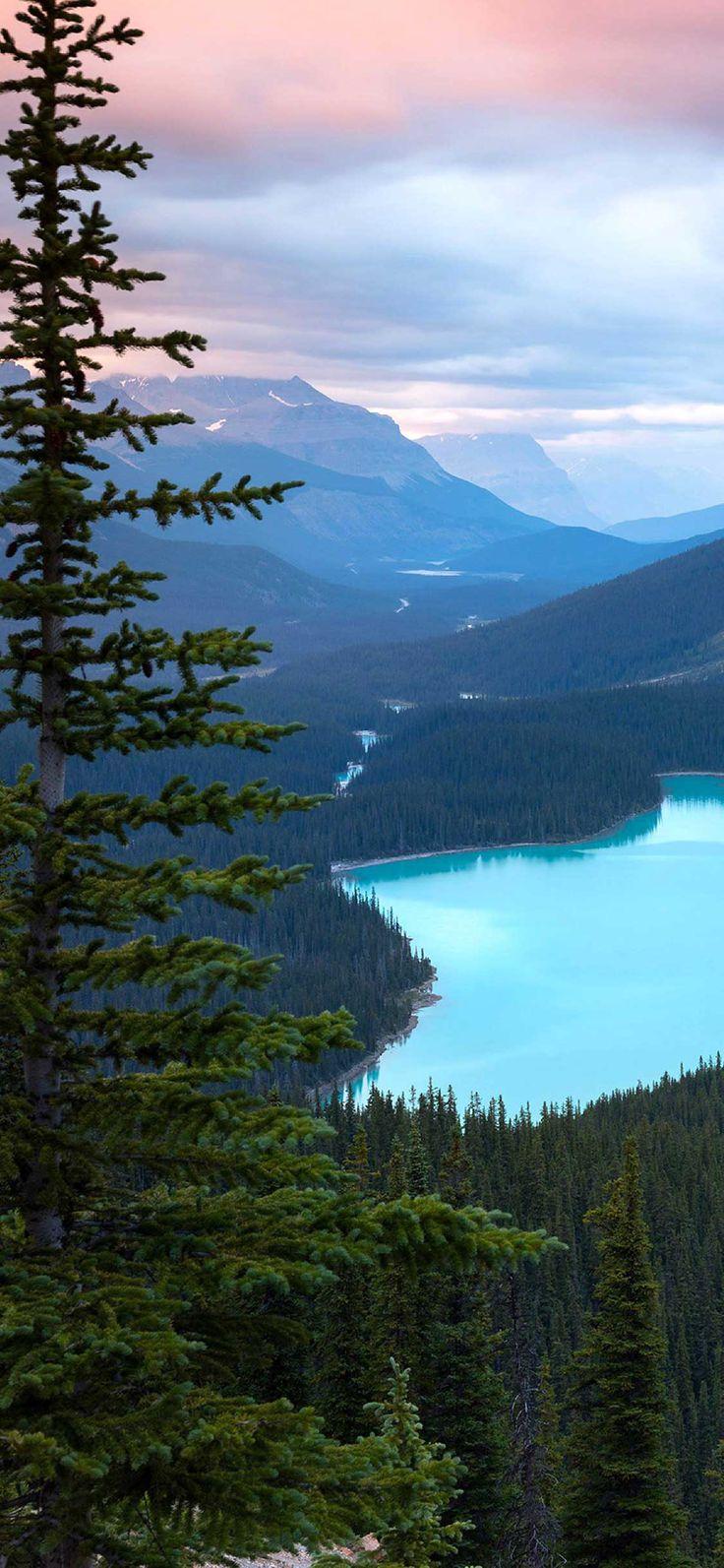 736x1593 iPhone Pro Wallpaper Peyto lake canada mountains HD. iPhone wallpaper canada, iPhone wallpaper travel, Landscape wallpaper