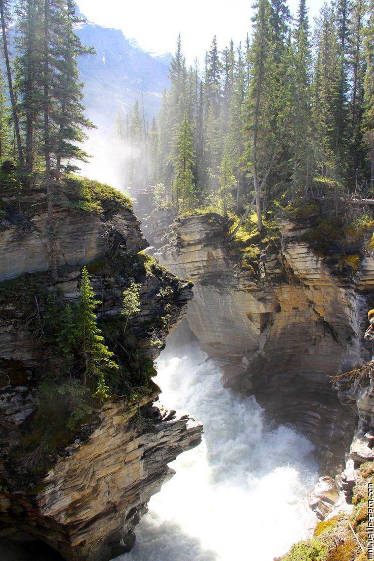 736x1104 Download Jasper national park alberta, canada HD nature wallpaper for your mobile cell phone
