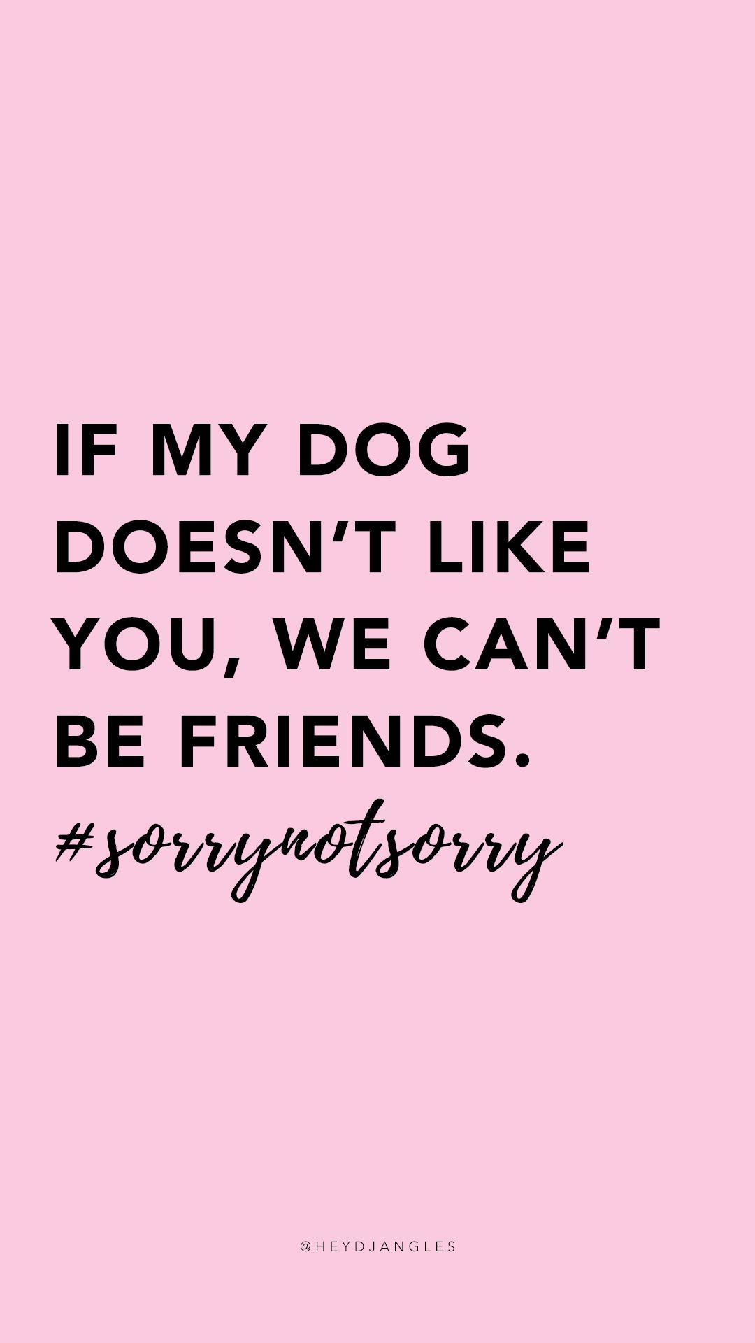 1080x1920 Free HD Dog Quote Wallpaper For Mobile Calm Harry Potter