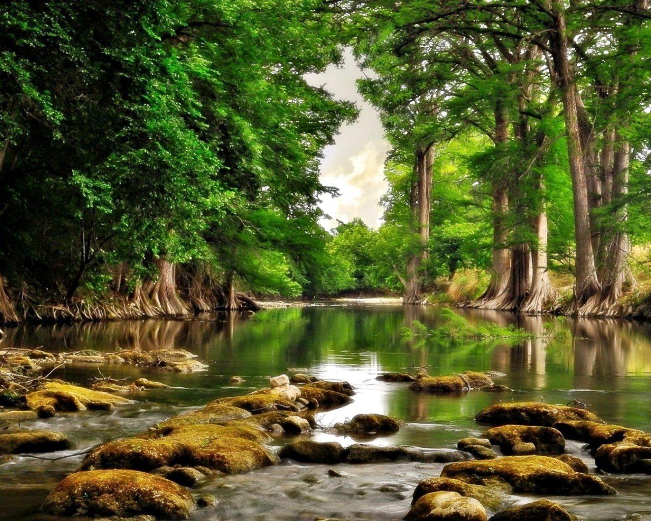 Calm River Wallpapers - Top Free Calm River Backgrounds - WallpaperAccess