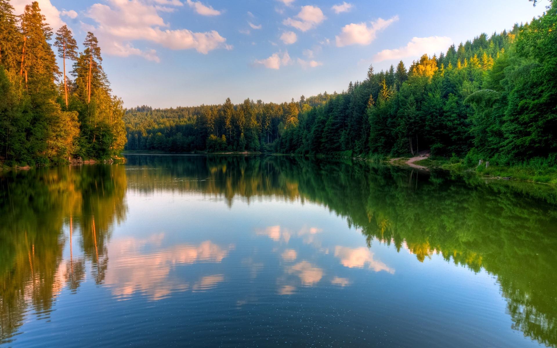 1920x1200 Calm River Forest Scenery HD Wallpaper