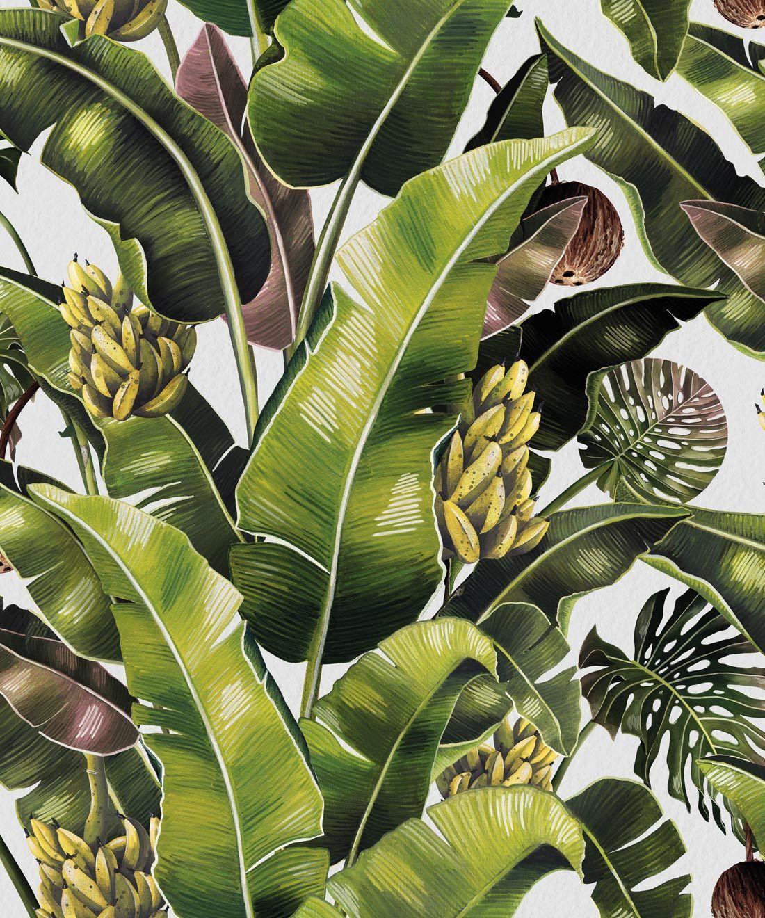 1100x1320 Kingdom Palm Wallpaper • Lush Tropical Design EU