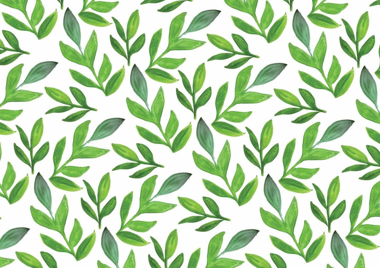 1280x905 Aesthetic Leaves Wallpaper