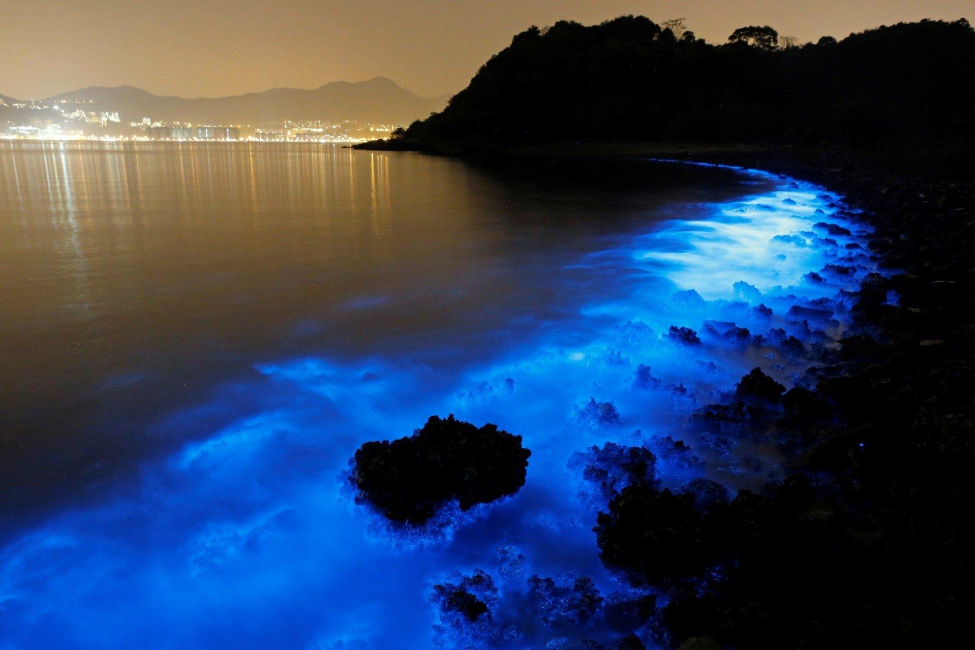 1918x1279 Sea Sparkle Wallpaper and Background Imagex1279