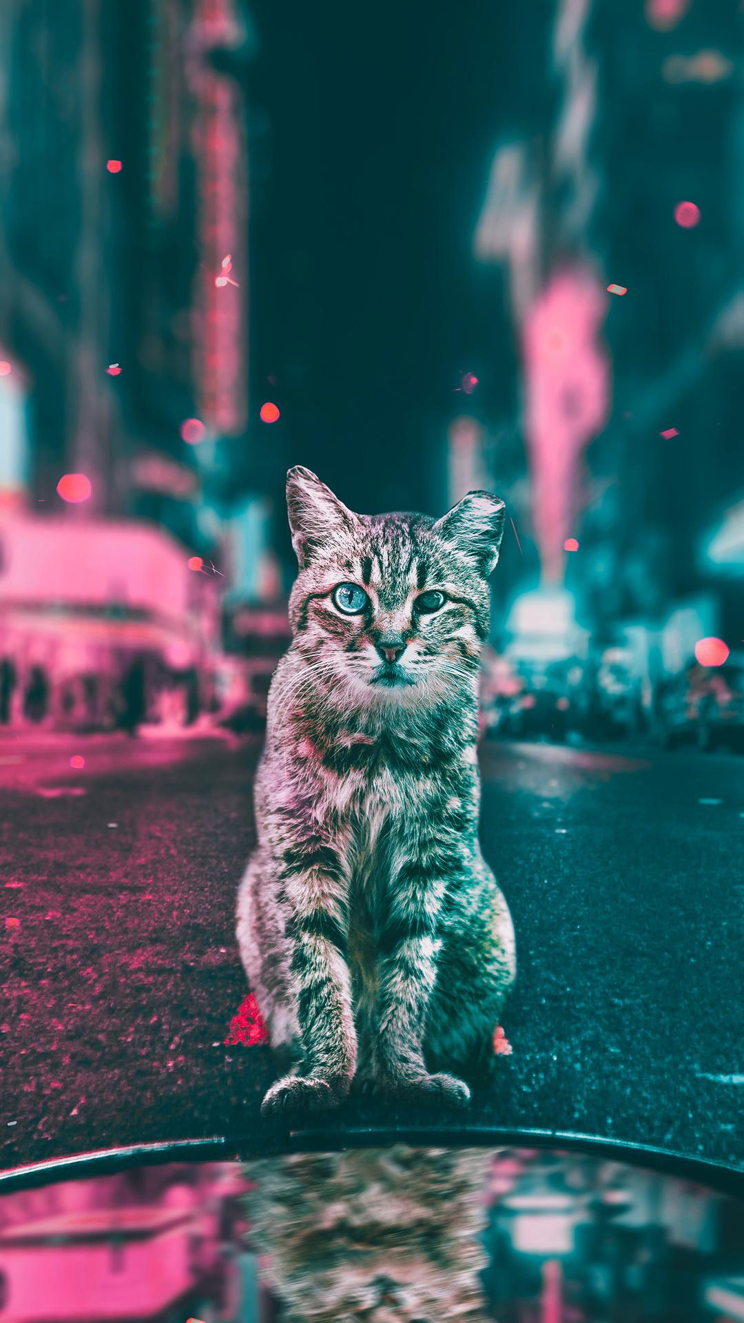 1080x1920 1080x1920 cat, animals, hd, artist, artwork, digital art, photography for iPhone 8 wallpaper