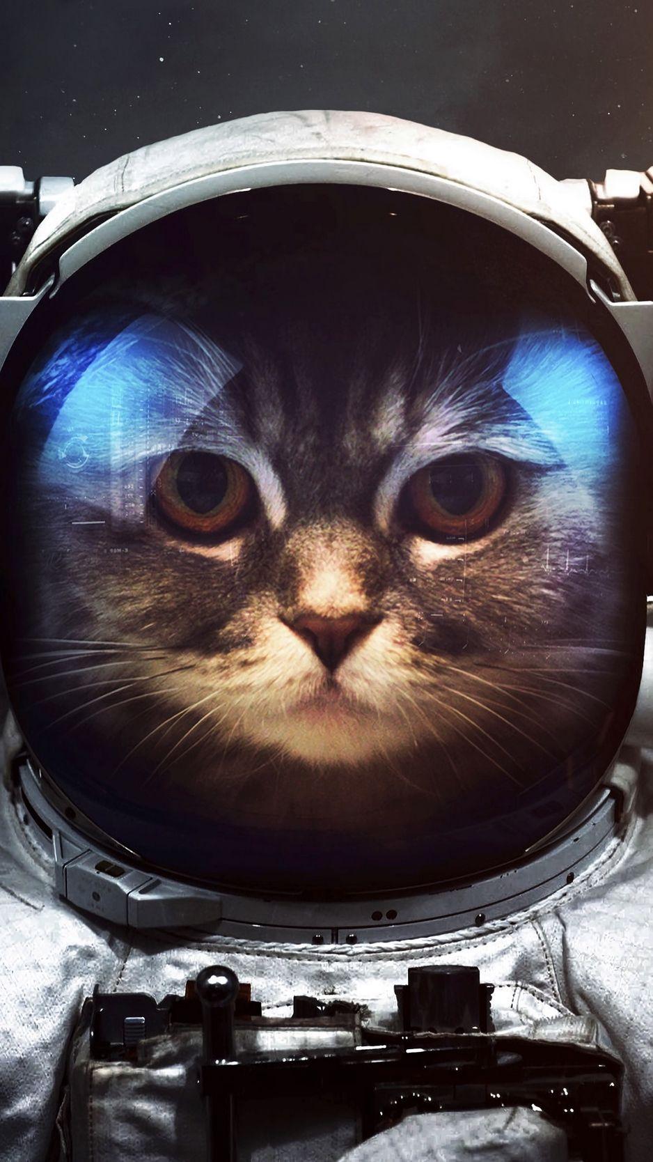 938x1668 wallpaper. best wallpaper collection. iPhone wallpaper. background. Astronaut cat, Animal wallpaper, Space phone wallpaper