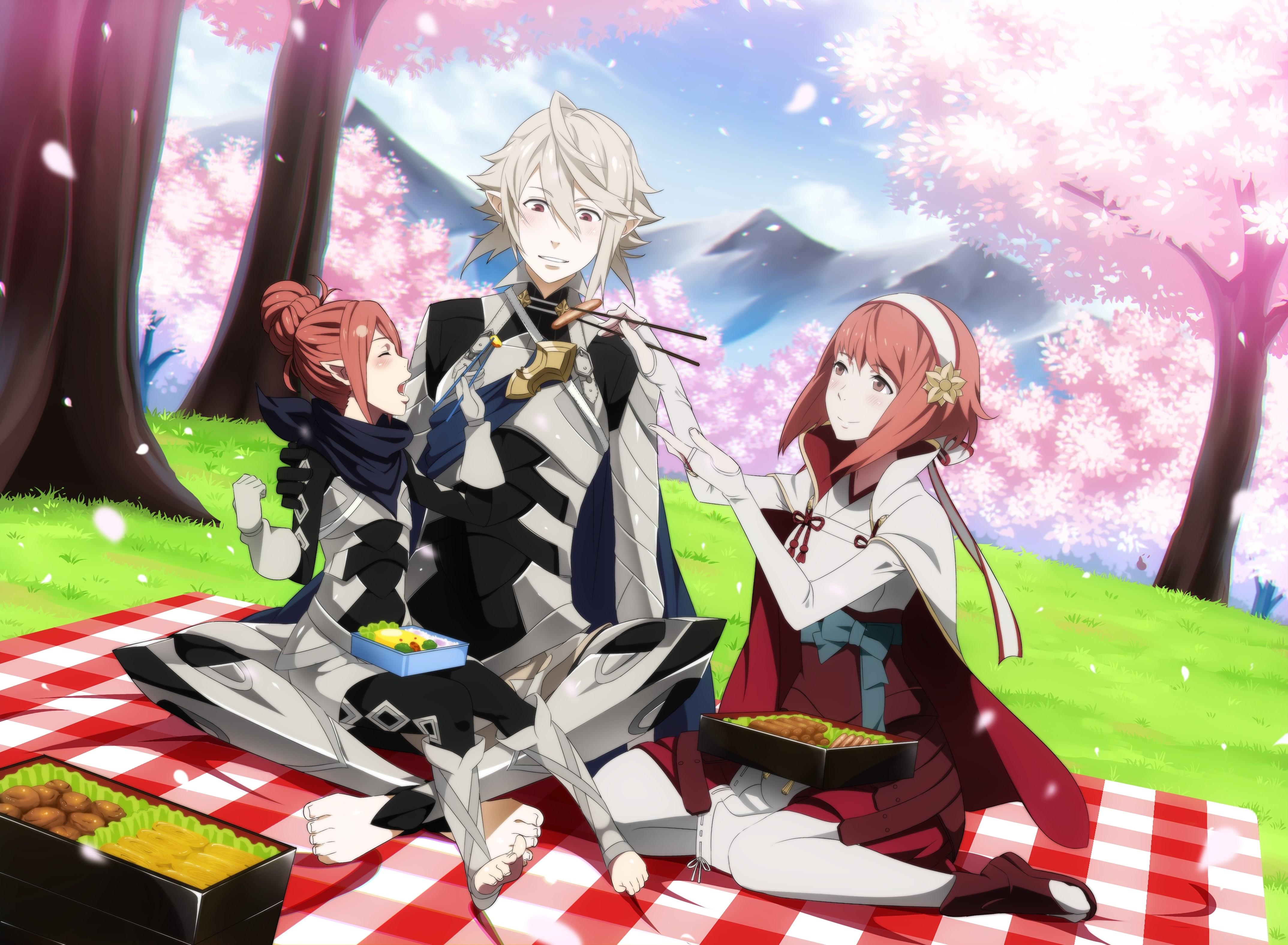 4295x3150 fire emblem 4k ultra HD wallpaper High quality walls
