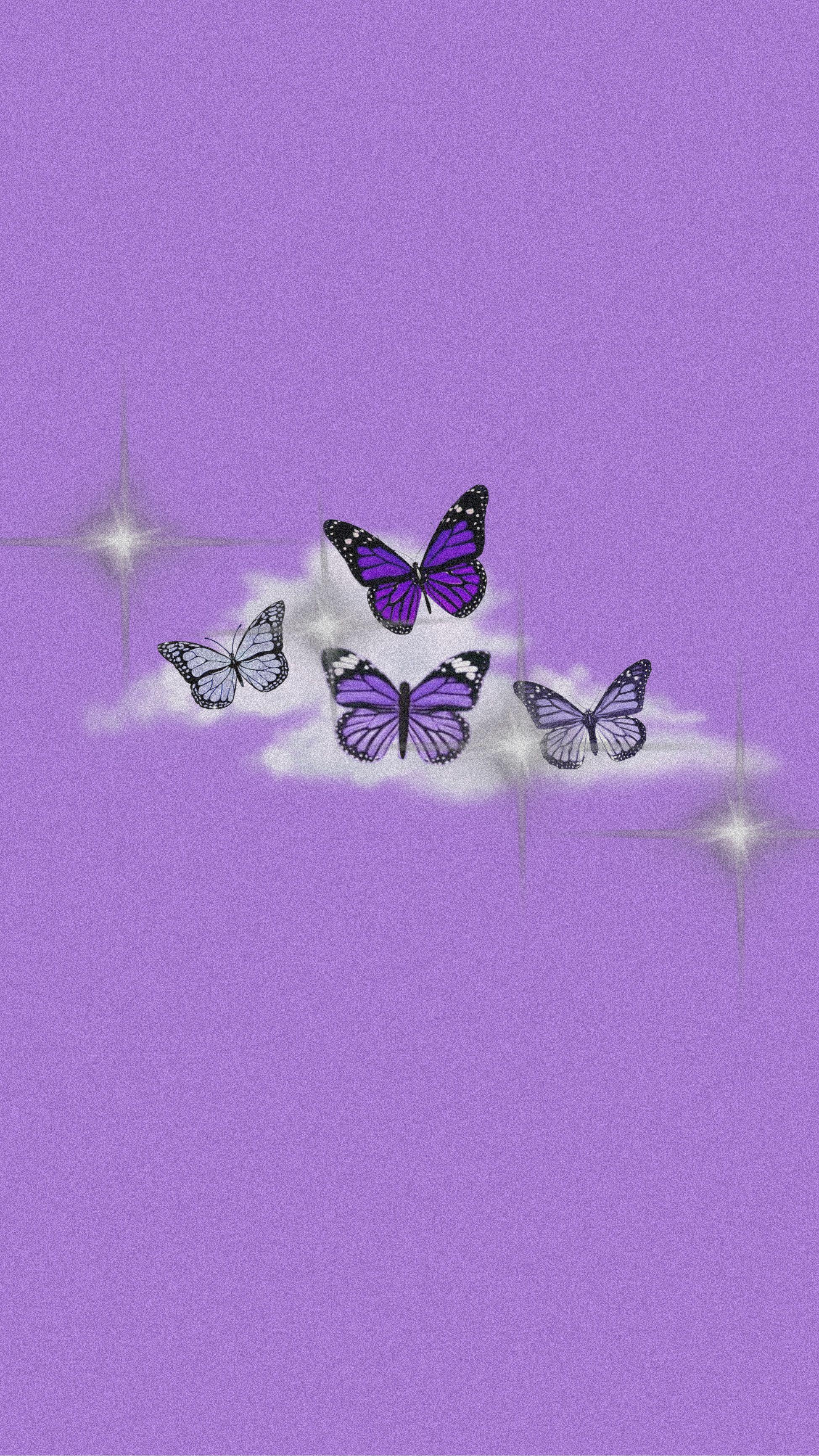 Light Purple Butterfly Wallpaper Aesthetic Download Free  Mynidhi