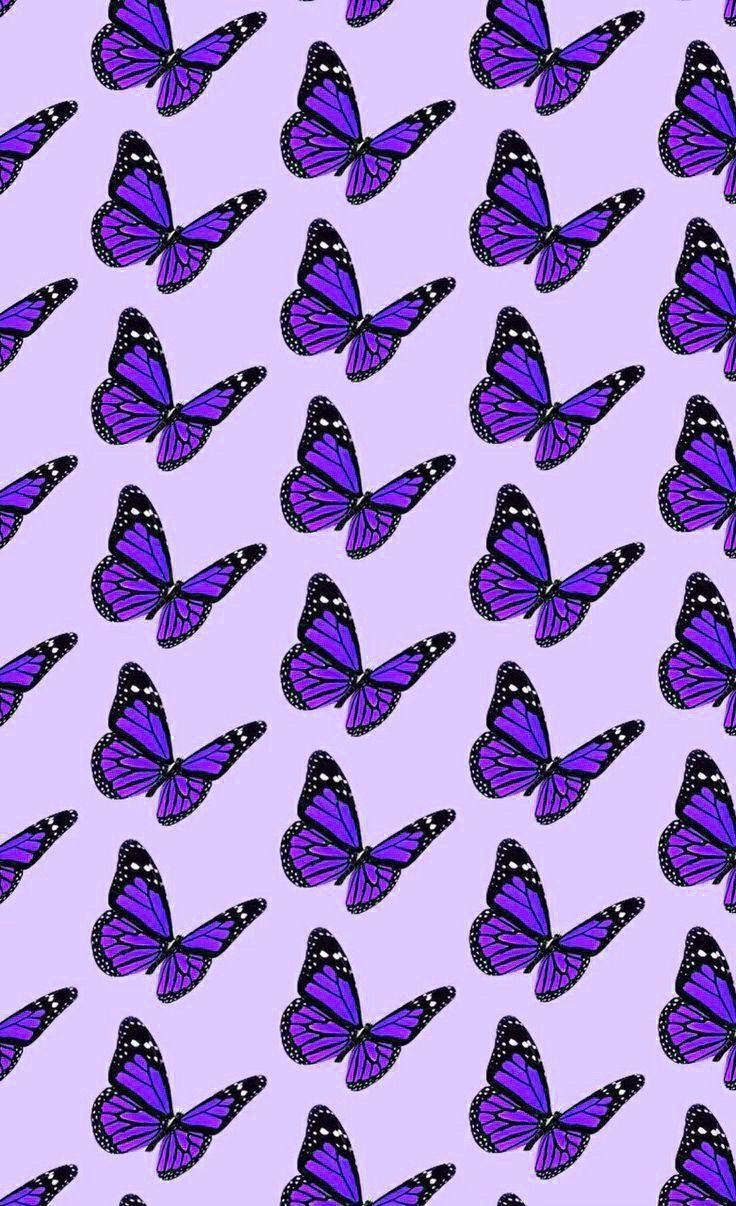 736x1206 Aesthetic Butterfly Purple Wallpaper