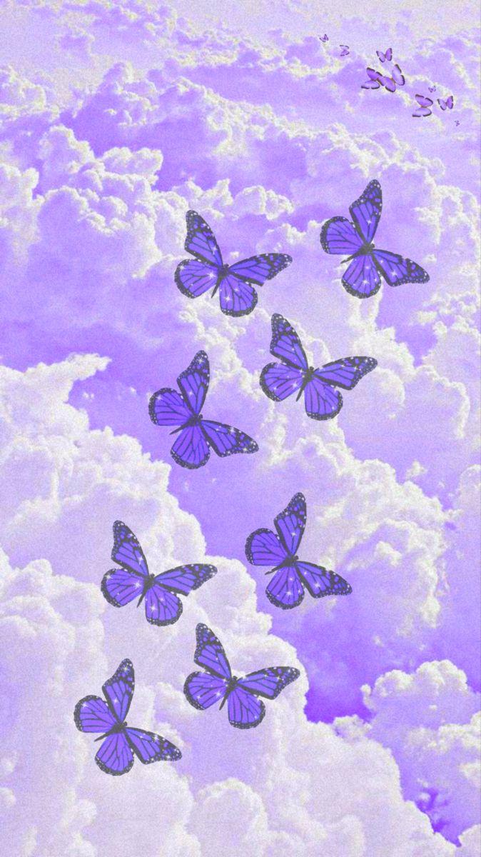 Purple Butterfly Iphone Wallpapers Top Free Purple Butterfly Iphone Backgrounds Wallpaperaccess