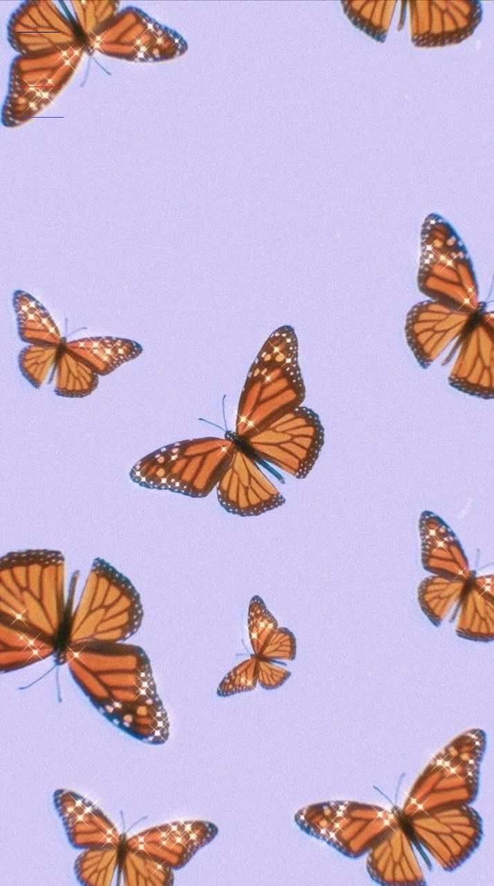 714x1280 Cute Butterfly Wallpaper Aesthetic Purple Free Mock Up