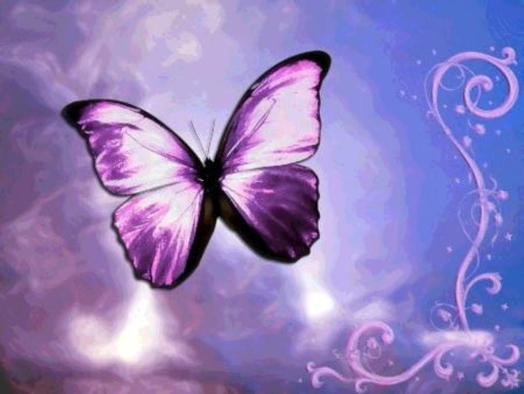 1024x769 cute butterfly wallpaper, butterfly, purple, violet, moths and butterflies, insect