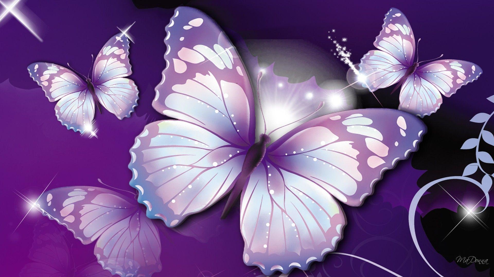 1920x1080 Black and Purple Butterflies Wallpaper
