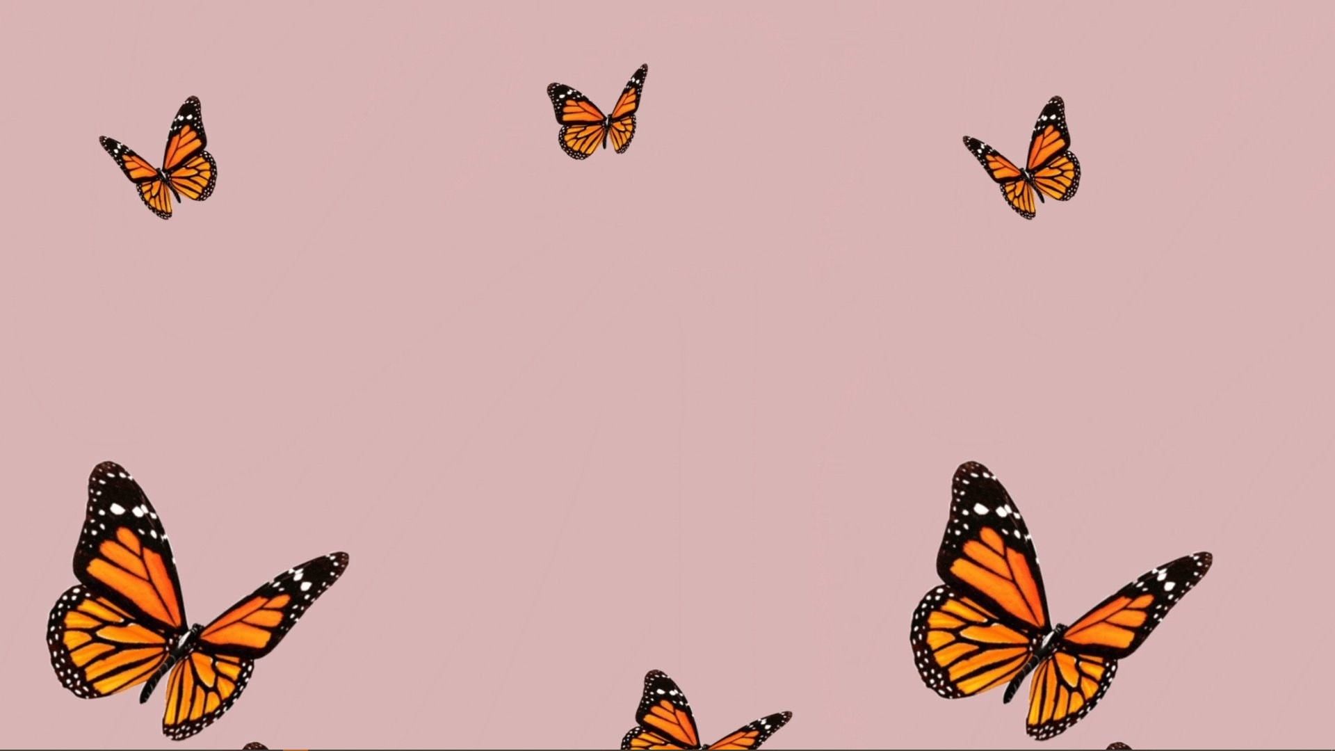 1920x1080 Butterfly Desktop Wallpaper, HD Butterfly Desktop Background on WallpaperBat