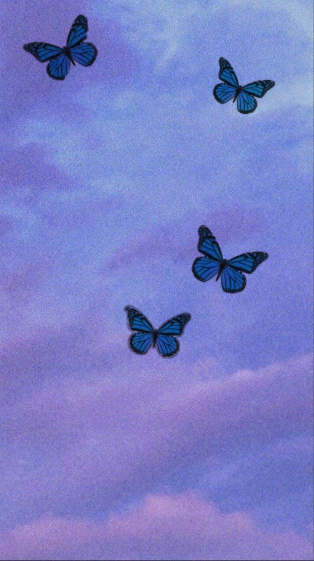 1077x1920 Cute Aesthetic Butterfly Wallpaper