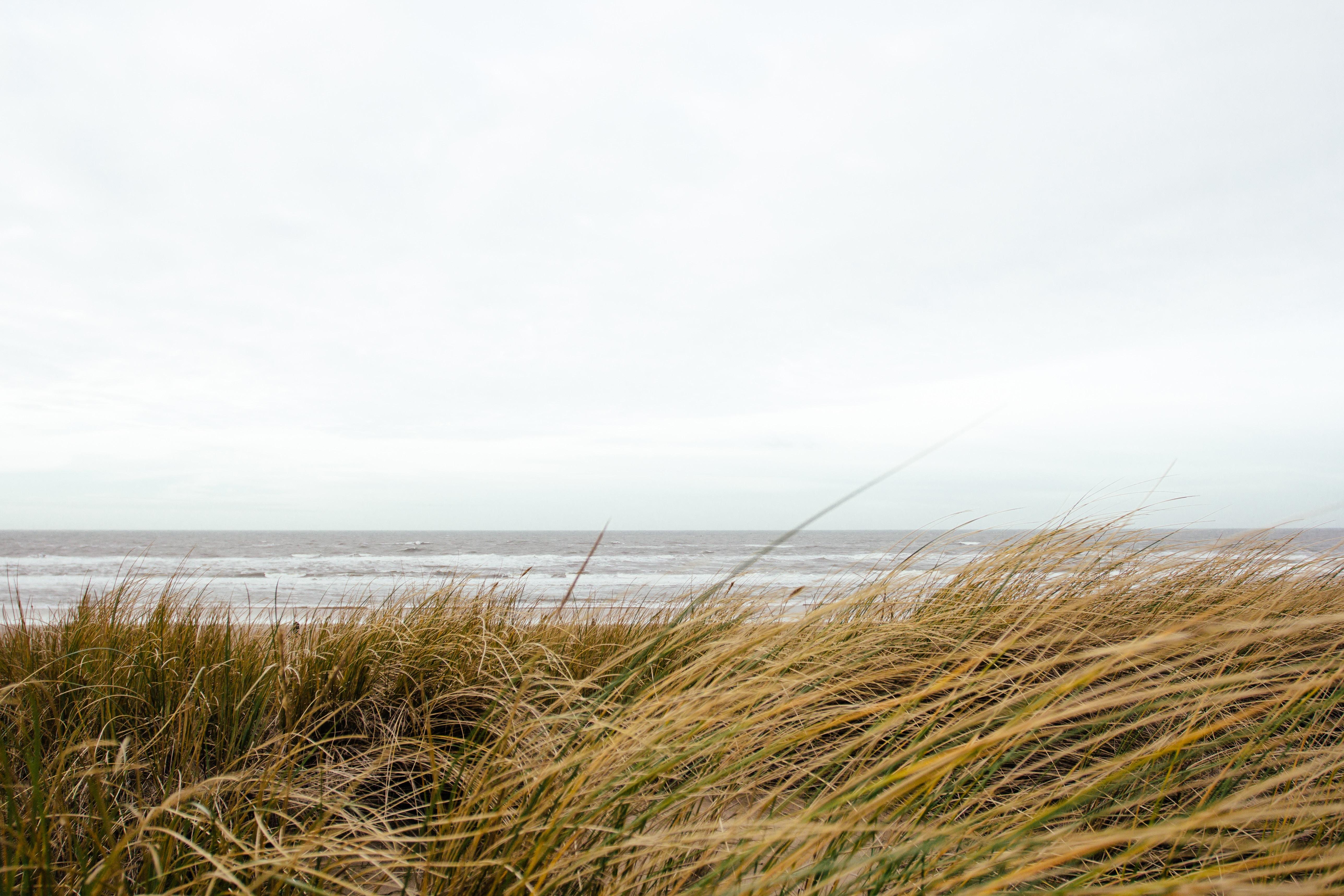 5149x3433 5149x3433 #wafe, #dune, #view, #ocean, #wind, #cloud, #wallpaper, #nature, #seashore, #water, #cloudy, #sea, #beach, #netherland, #beach background, #Free , #beach wallpaper, #sky, #wave, #grass, #seaside. Mocah HD Wallpaper