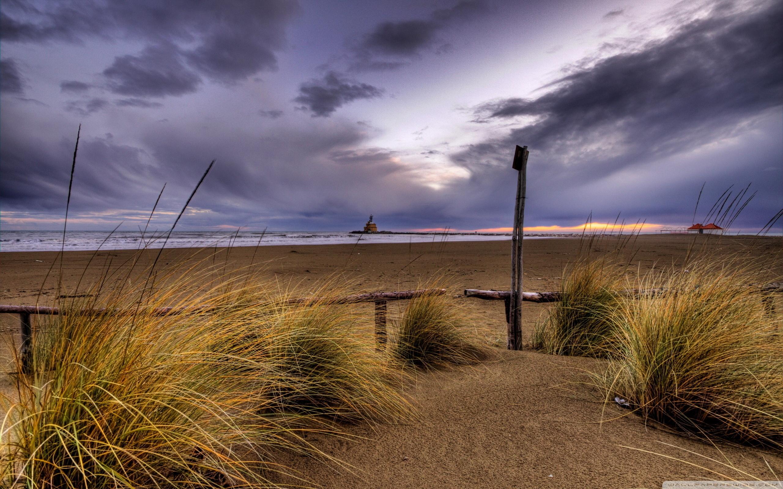 2560x1600 Beach Grass, Cloudy Sky Ultra HD Desktop Background Wallpaper for 4K UHD TV : Multi Display, Dual Monitor : Tablet