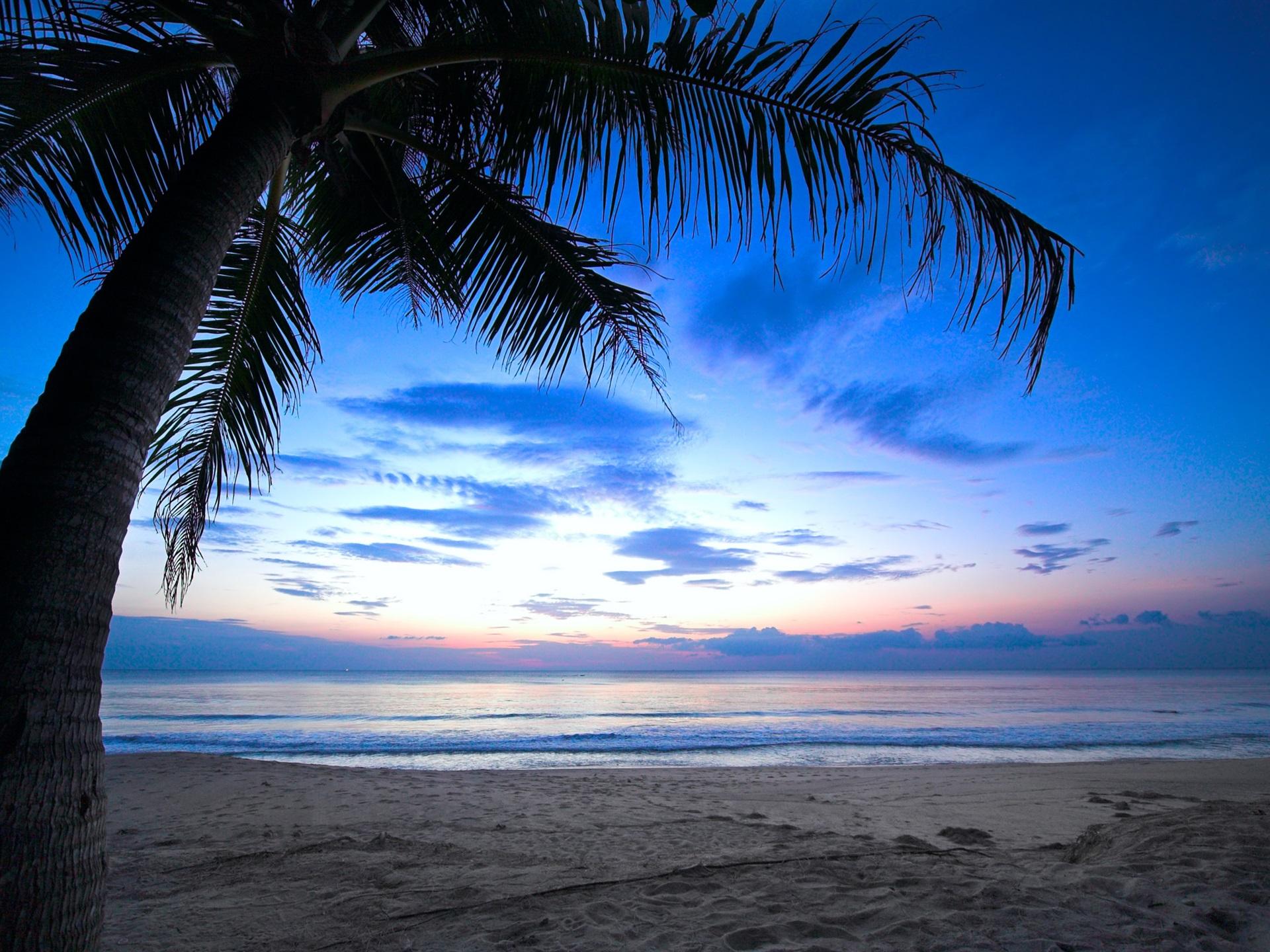 1920x1440 Wallpaper Tropical, palm tree, cloudy sky, Caribbean, sea, beach, dawn, sunlight 2560x1600 HD Picture, Image