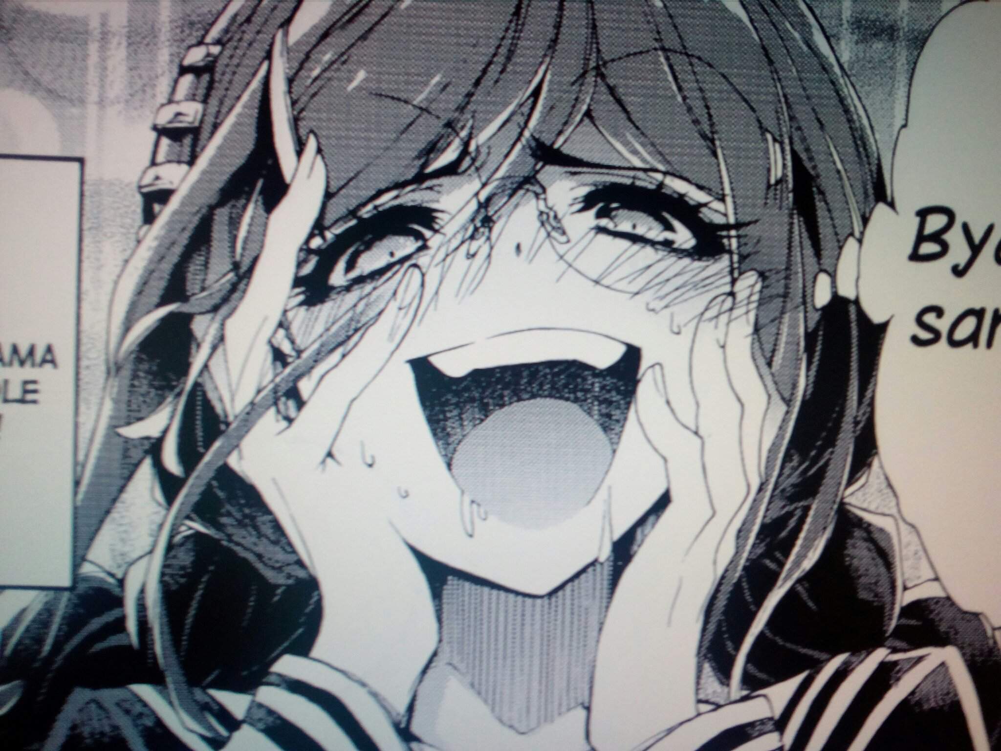 2048x1536 View 18 Toko Fukawa Manga Panels