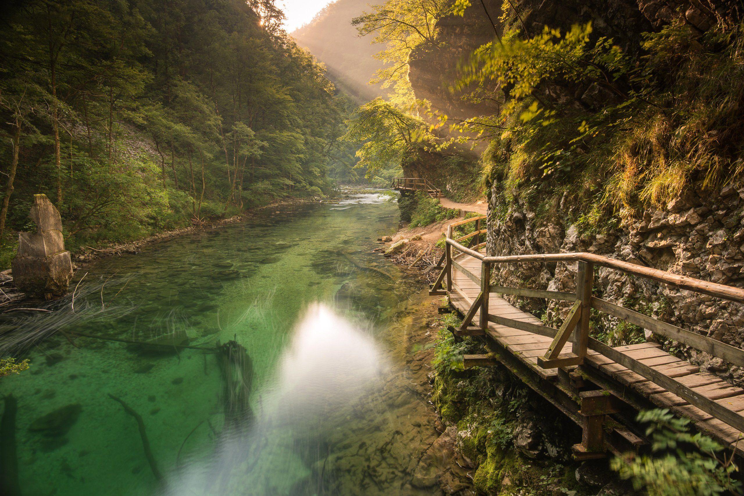 2560x1709 slovenia, rivers, peace, nature, wallpaper, high definiton, flower
