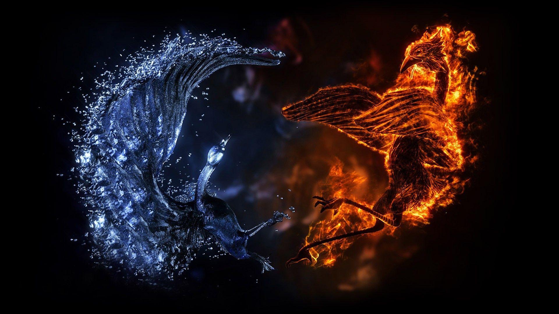 1920x1080 Battle of fire and water dragons wallpaper and image. Fire and ice wallpaper, Fire and ice, Amazing HD wallpaper