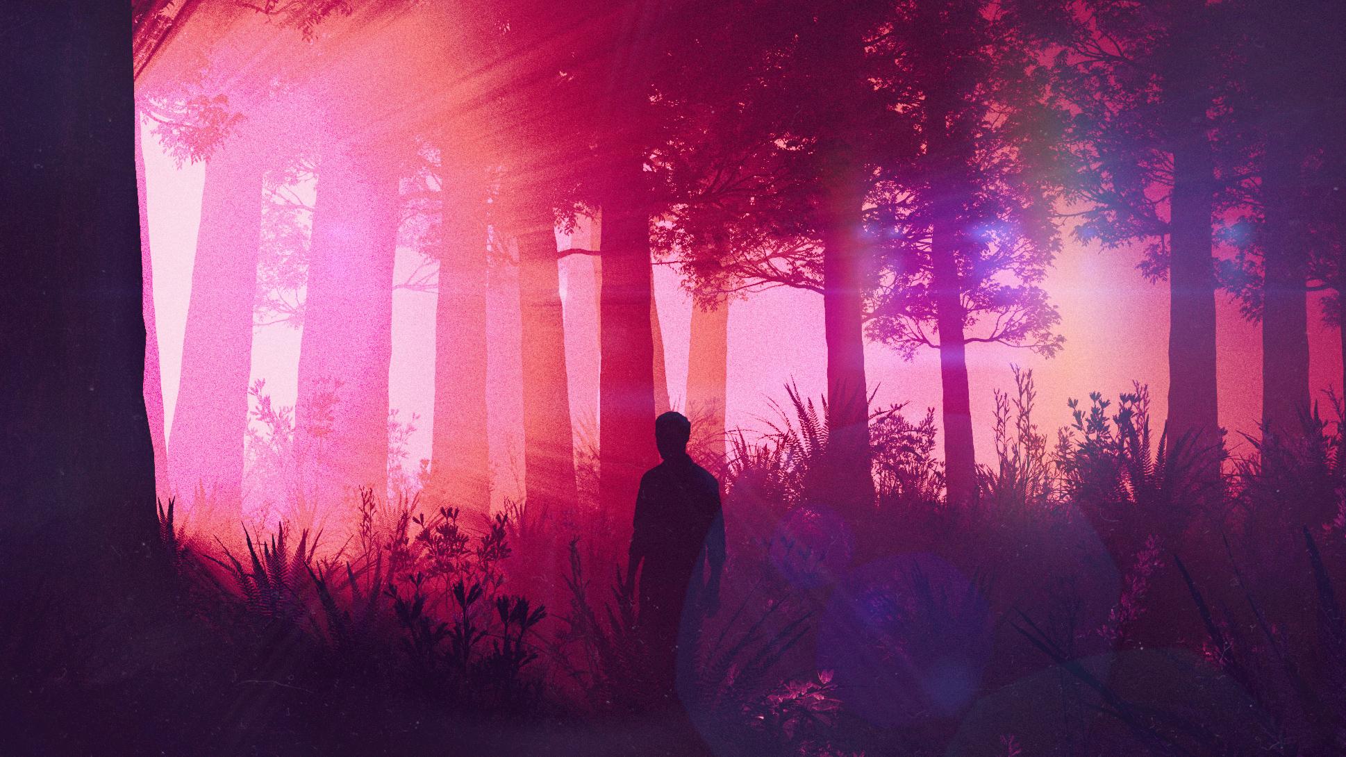 1938x1090 Lost In Woods Laptop Full HD 1080P HD 4k Wallpaper, Image, Background, Photo and Picture