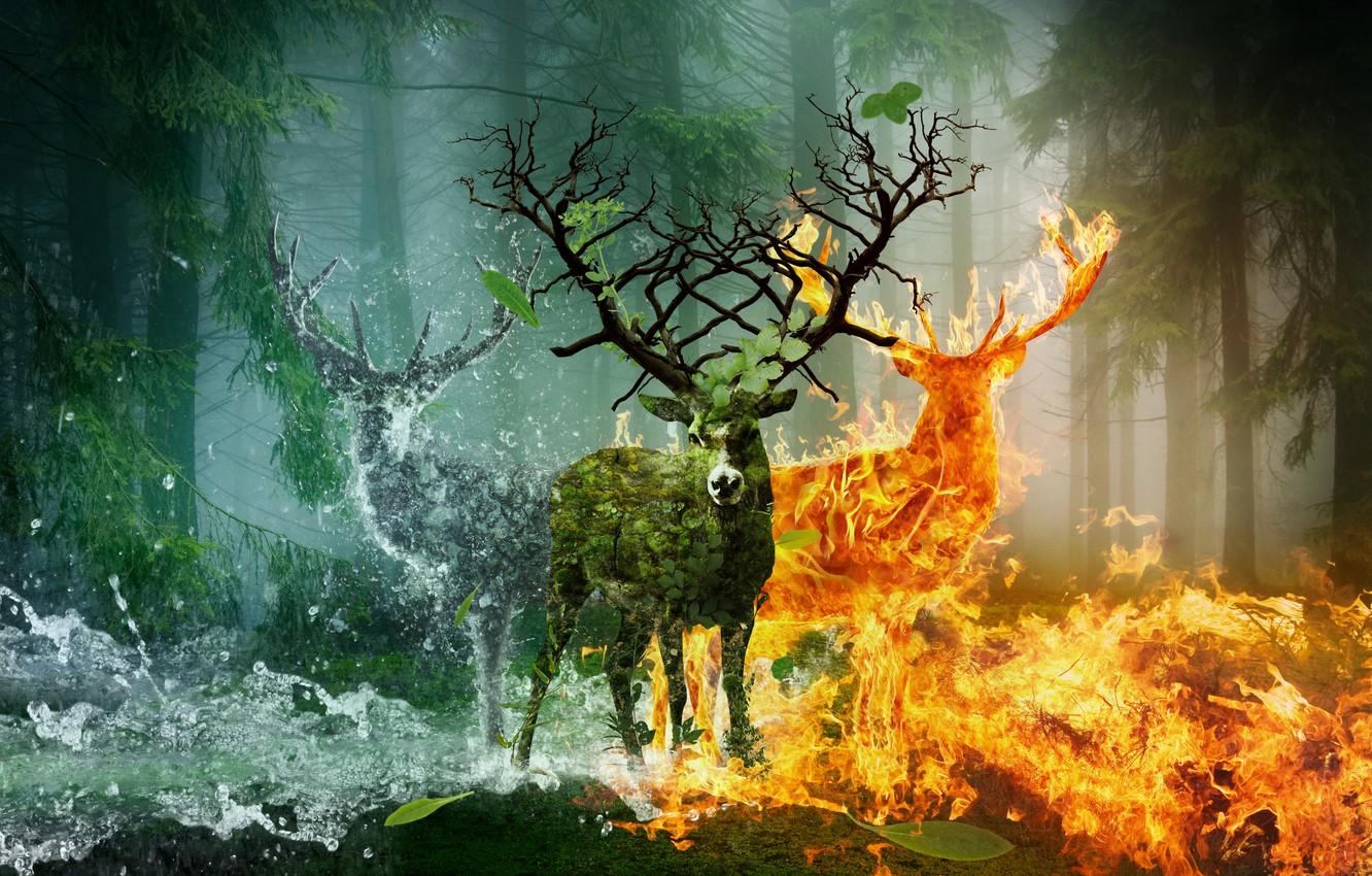 1332x850 Wallpaper Water, Fire, Animals, Deer, Fiction, Horn earth image for desktop, section рендеринг