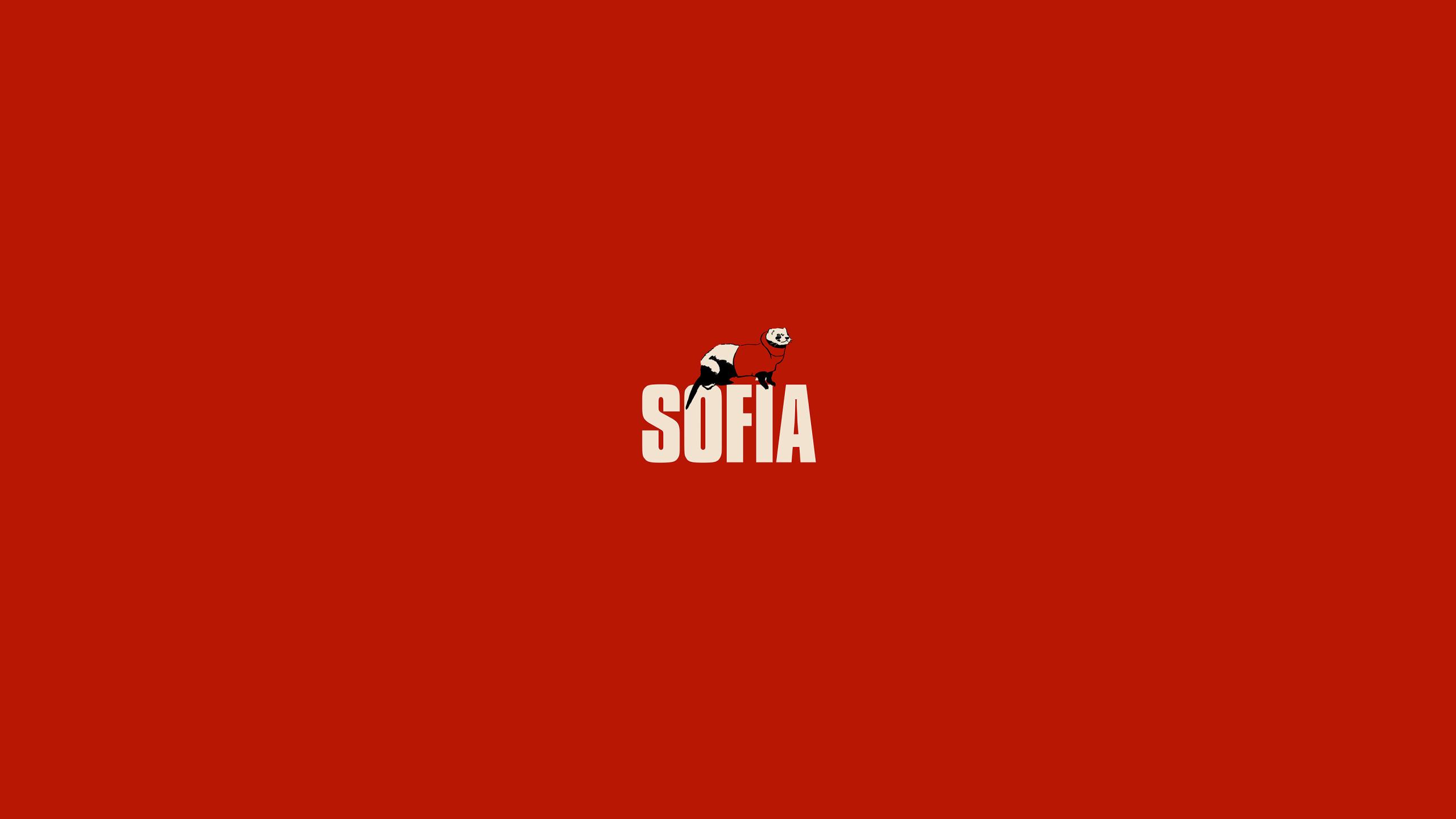 2560x1440 Sofia Money Heist 1440P Resolution Wallpaper, HD Minimalist 4K Wallpaper, Image, Photo and Background