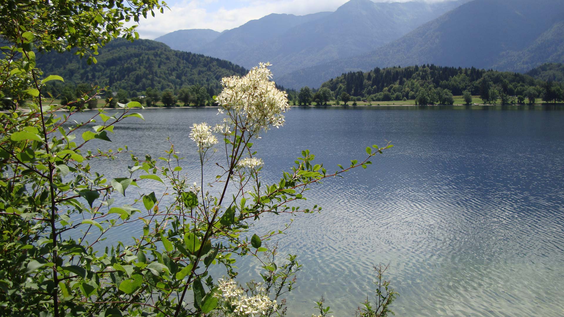 1920x1080 Free Slovenia Lake Bohinj 3 desktop wallpaper
