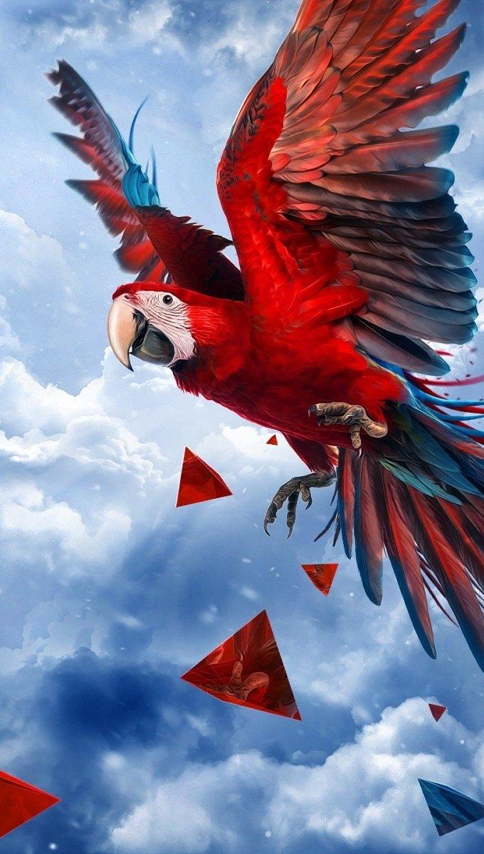 680x1200 Parrot flying Wallpaper Full HD
