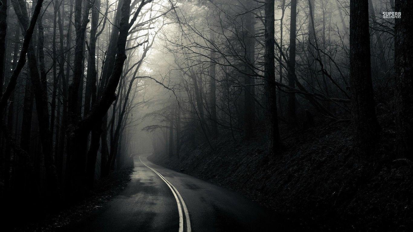 1366x768 Roadk woods wallpaper wallpaper