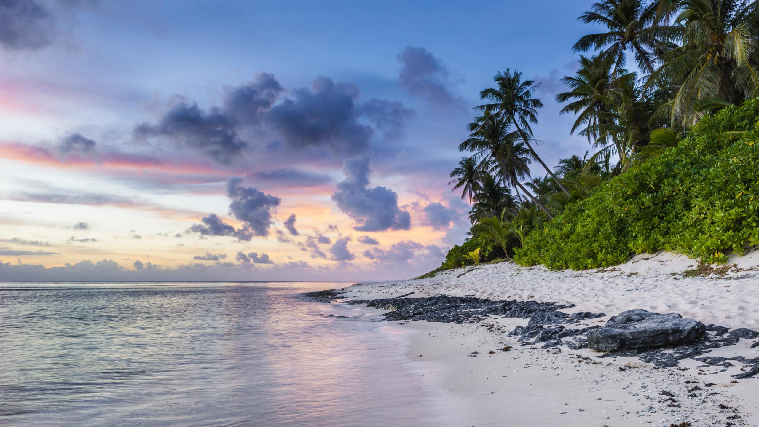 2560x1440 Download wallpaper: Exotic beach and ocean waves 2560x1440