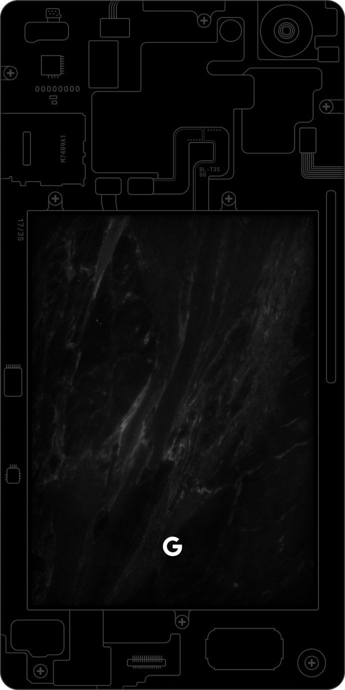 Full Stack Wallpapers - Top Free Full Stack Backgrounds - WallpaperAccess