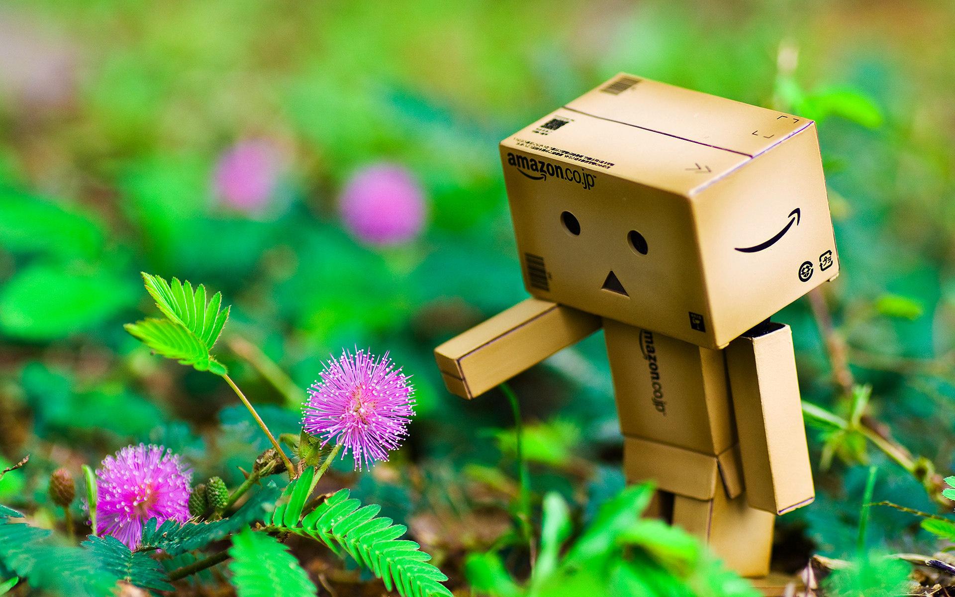 1920x1200 Free download 4K Cardboard Boxes Wallpaper High Quality Download [1920x1200] for your Desktop, Mobile & Tablet. Explore Cardboard Boxes Wallpaper. Cardboard Boxes Wallpaper, Cardboard Robot Wallpaper, Antique Wallpaper Boxes
