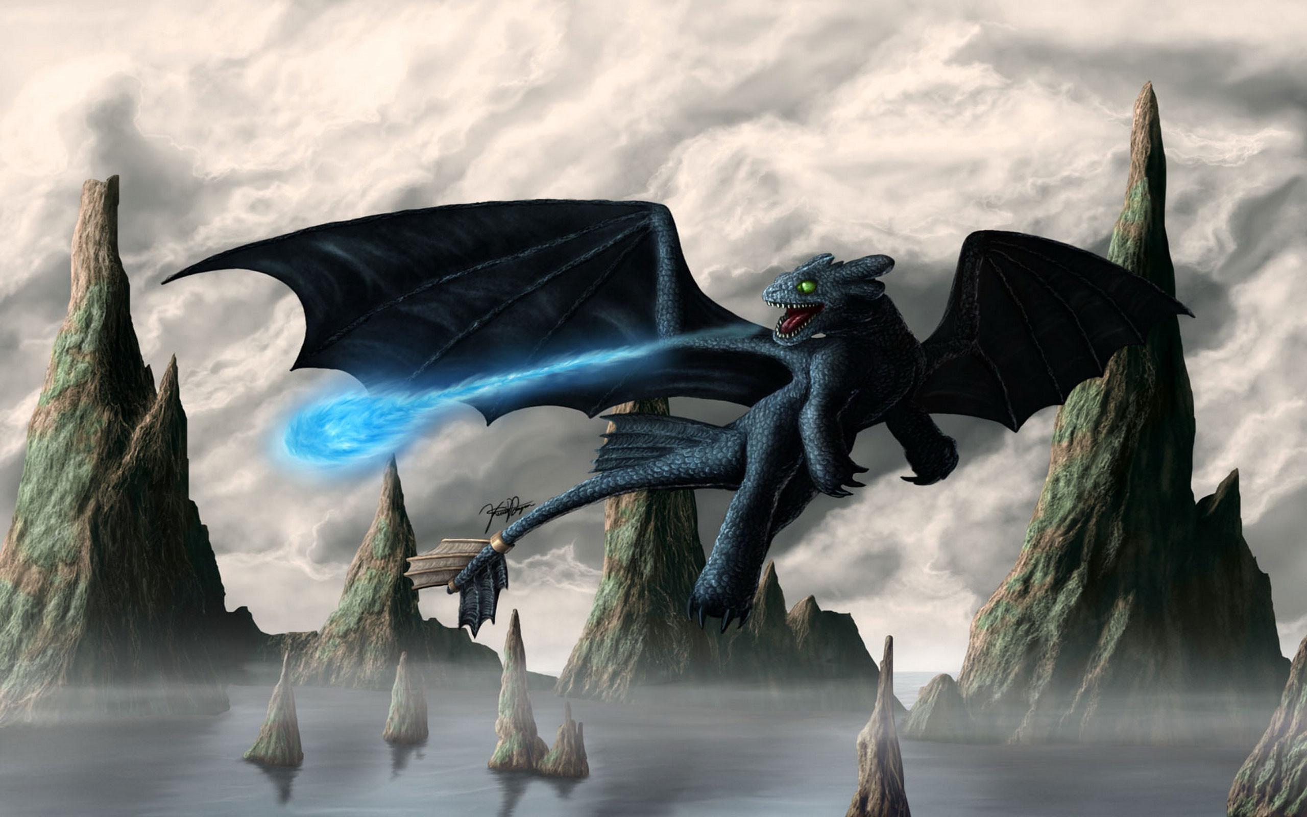 2560x1600 Toothless Wallpaper HD