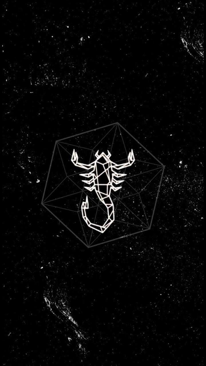 720x1280 Scorpio Wallpaper For Tech