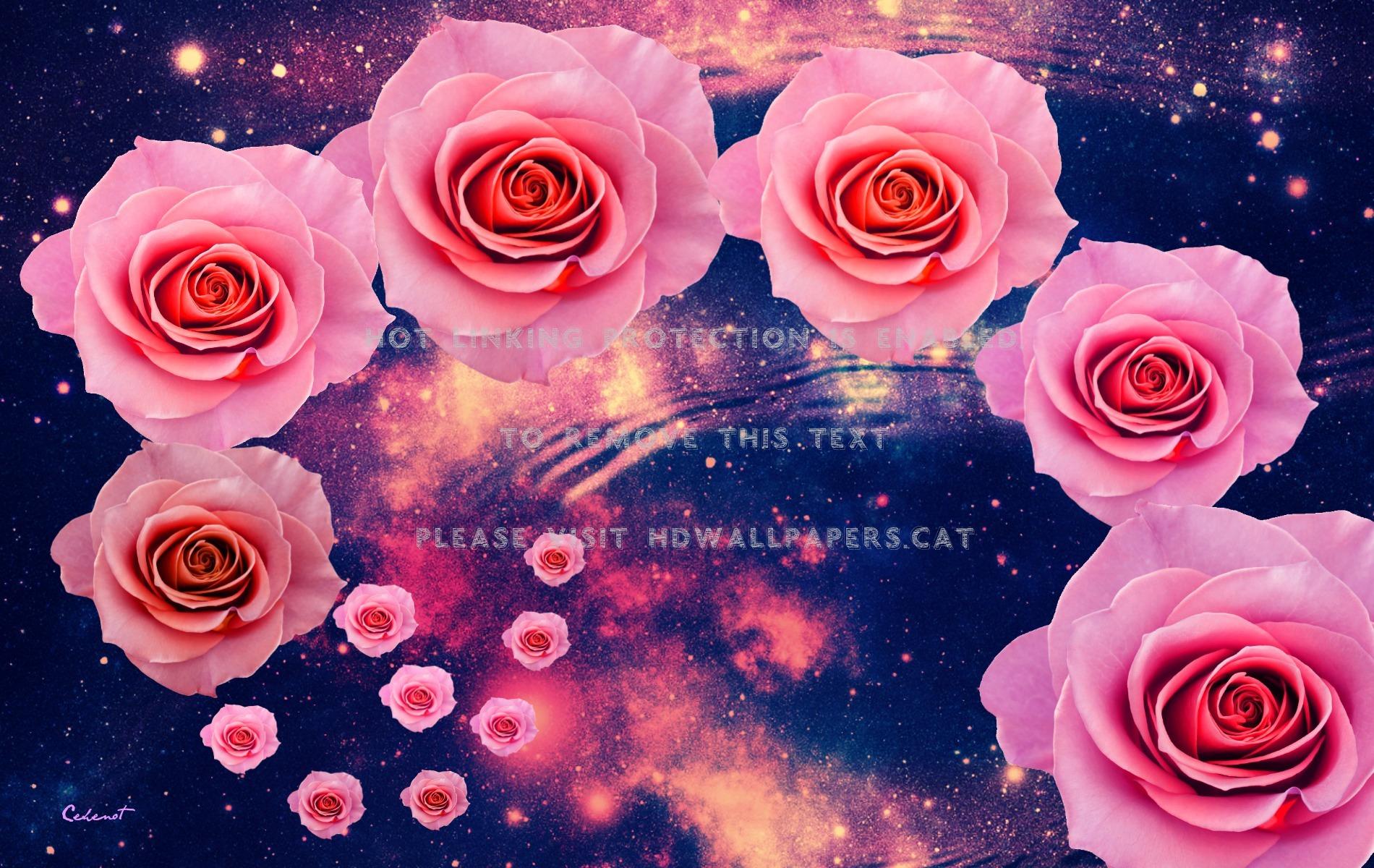 1900x1200 zodiac scorpio by cehenot rose pink stars