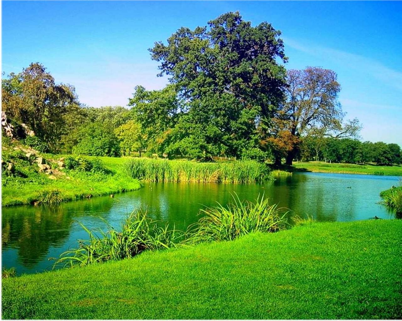 1280x1024 Nature Image HD Large Size