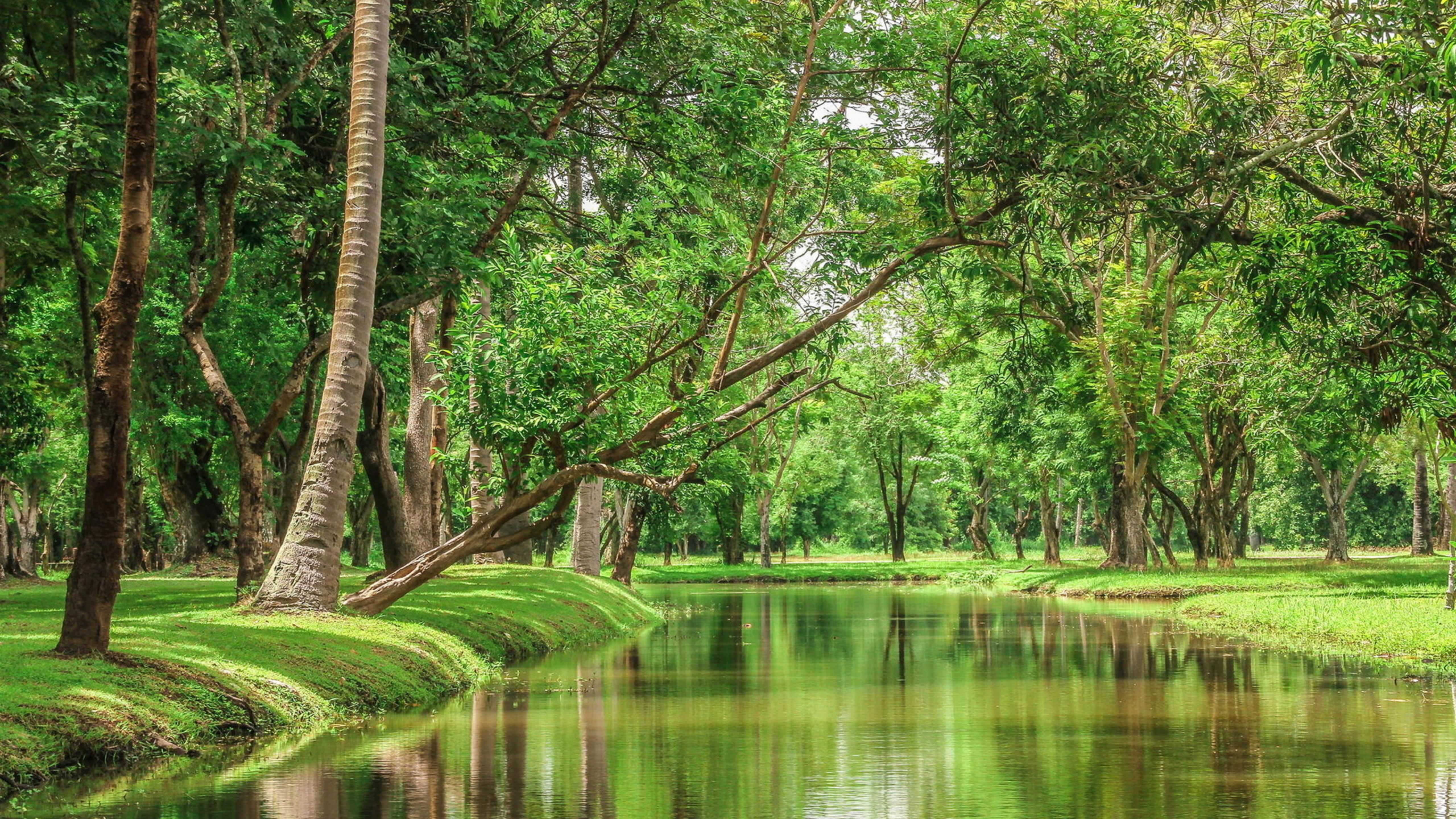 5120x2880 Free download Download Wallpaper 5120x2880 Beautiful nature River in the green [5120x2880] for your Desktop, Mobile & Tablet. Explore Wallpaper 5120x2880K Image HD Wallpaper, iMac Retina 5K Wallpaper