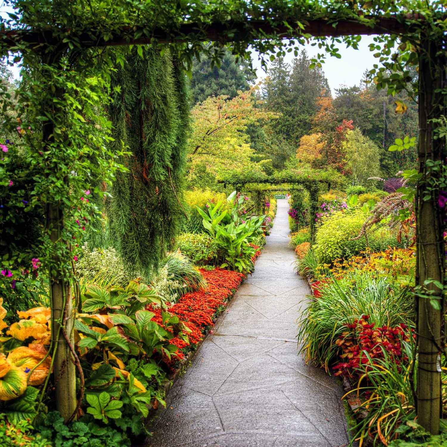 1500x1500 Size Garden Wallpaper Big Size Flower Garden Wallpaper Size Wallpaper HD